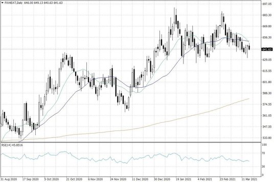 Notowania pszenicy w USA – dane dzienne