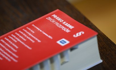 Dyskusja o wykreśleniu z kodeksu karnego art. 212 lub choćby złagodzeniu sankcji za pomówienie trwa 