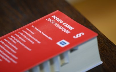 Dyskusja o wykreśleniu z kodeksu karnego art. 212 lub choćby złagodzeniu sankcji za pomówienie trwa 