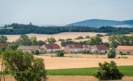 Dylematy rozwoju terenów wiejskich. Nowa wspólnotowość?