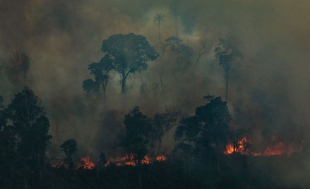 Eksperci: Dżungla amazońska produkuje 20 proc. tlenu? Nie