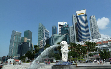 Singapur: Brat premiera poparł opozycję
