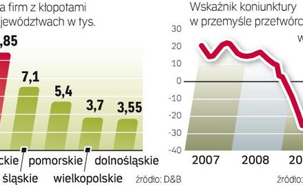 Firmy obawiają się jednak, że był to efekt wakacyjnych wydatków Polaków. Ich przewidywania co do zam