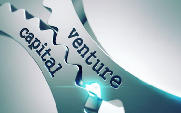 Venture capital: dla jakich spółek kapitał wysokiego ryzyka