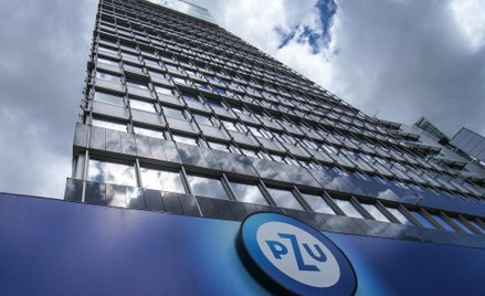 Pozytywna reakcja na wyniki PZU