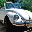 VW Garbus w odkrytej wersji debiutował w 1949 roku i był wytwarzany ponad 30 lat. Tak dobrze utrzyma