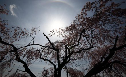 Muzeum Yoko Ono i Johna Lennona w Yanagawie