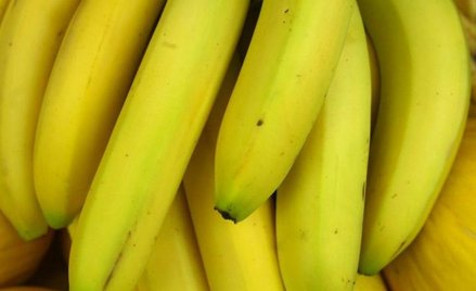 Banany Cavendish na wymarciu. Wkrótce zabraknie bananów?