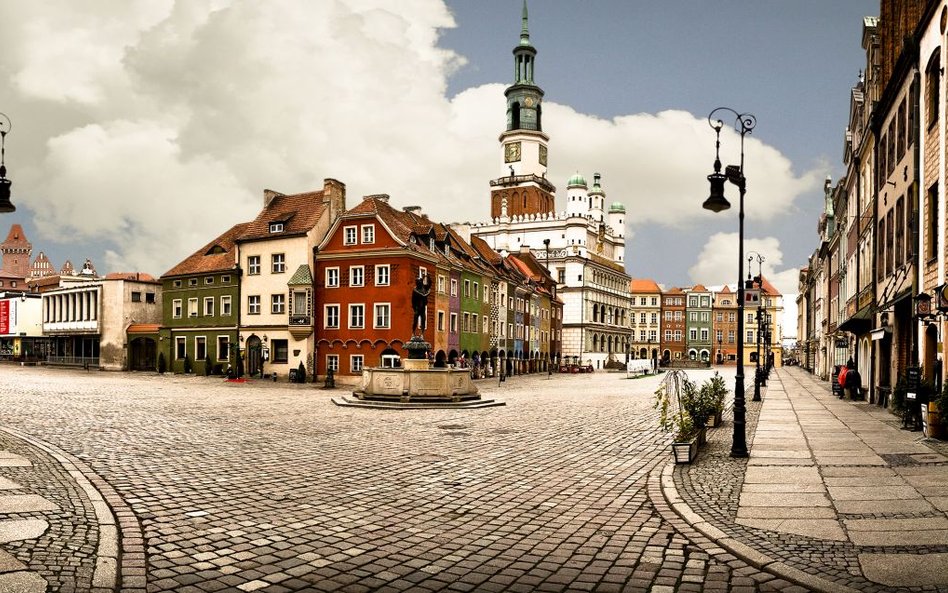 Poznań stawia na rośliny w centrum miasta