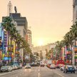Palmy są powszechne w Los Angeles, ale z czasem będzie ich w mieście coraz mniej. Władze wolą inne d