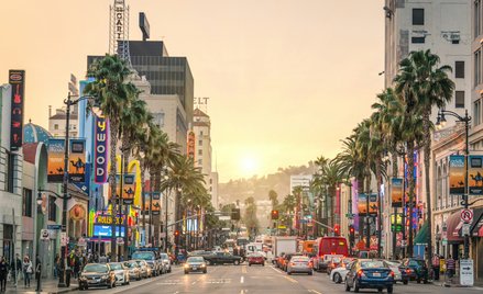 Palmy są powszechne w Los Angeles, ale z czasem będzie ich w mieście coraz mniej. Władze wolą inne d