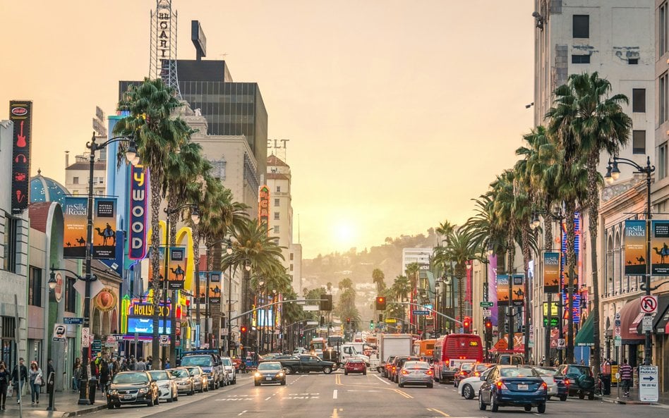 Palmy są powszechne w Los Angeles, ale z czasem będzie ich w mieście coraz mniej. Władze wolą inne d