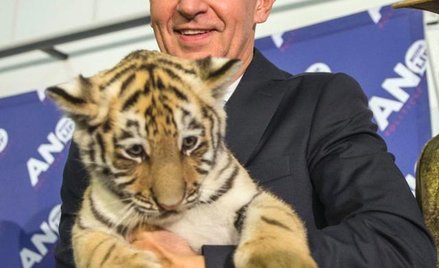 Andrej Babiš – bogaty, skuteczny i ambitny