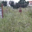 Oferta kupna nie wyłącza możliwości zasiedzenia