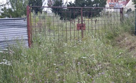 Oferta kupna nie wyłącza możliwości zasiedzenia