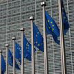 Wybory do PE: PiS prowadzi. Koalicja Europejska blisko
