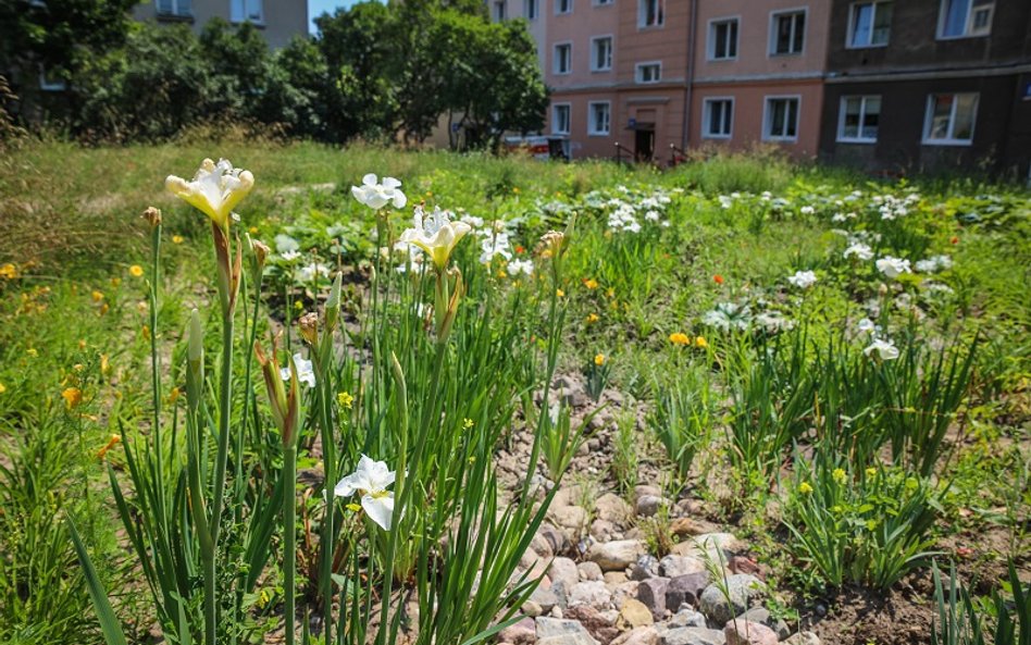 Wszyscy uczą się oszczędzać wodę w miastach