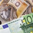 Niemcy boją się walutowych zawirowań w Polsce