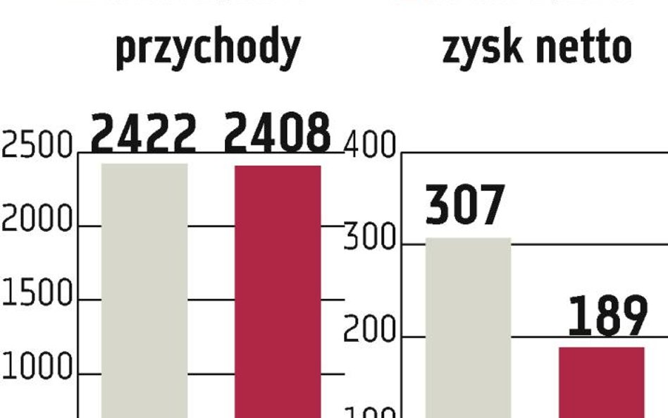 Enea: W 2013 r. euroobligacje