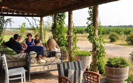 Winnice przygotowane są do przyjmowania gości, którzy chcą degustować miejscowe wyroby