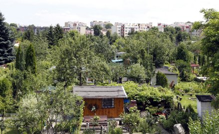 Rodzinne Ogródki Działkowe w Chorzowie