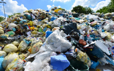 Nielegalne odpady w Polsce. Wywieziono prawie 4 tys. ton