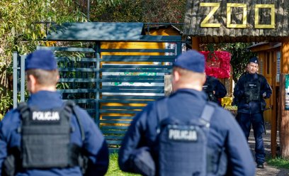 Śledczy z Prokuratury Rejonowej w Wałbrzychu zatrzymali pięć osób w związku z działalnością prywatne