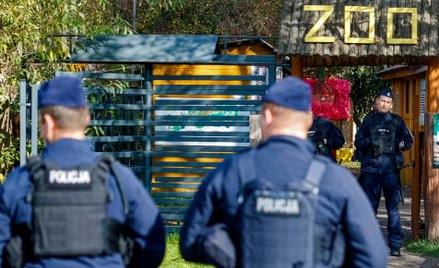 Śledczy z Prokuratury Rejonowej w Wałbrzychu zatrzymali pięć osób w związku z działalnością prywatne