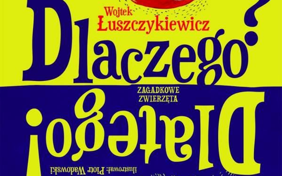 Książka dla dzieci napisana przez rockmana