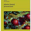 „Plaster jasnej przestrzeni”: Kres i początek