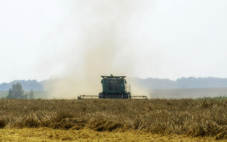 Kernel: Gorsze zbiory rodzą konkurencję