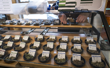 W Kalifornii marihuana jest legalna i dostępna w wyznaczonych sklepach