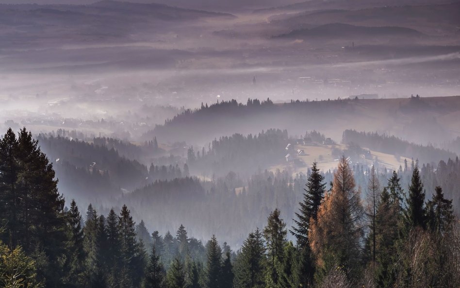 Polska coraz niżej w rankingu klimatycznym. Już prawie na końcu