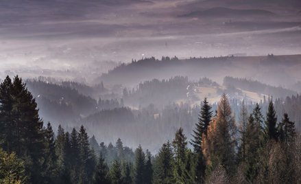 Najbardziej zanieczyszczone miejscowości. Pod Tatrami nie da się oddychać