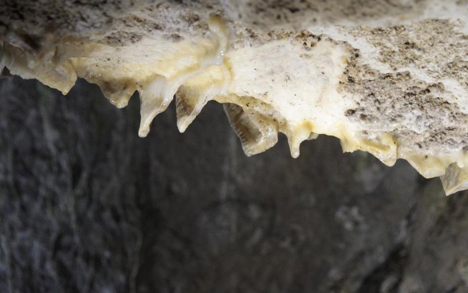 Jaskinie w Han-sur-Lesse w Belgii