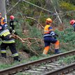 Energa sprząta po „Grzegorzu”