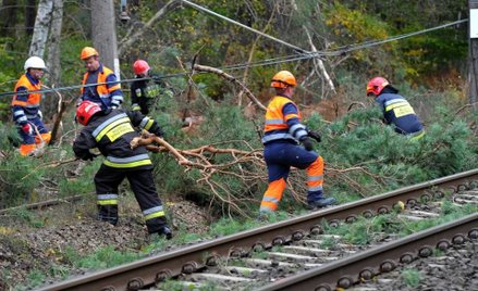 Energa sprząta po „Grzegorzu”