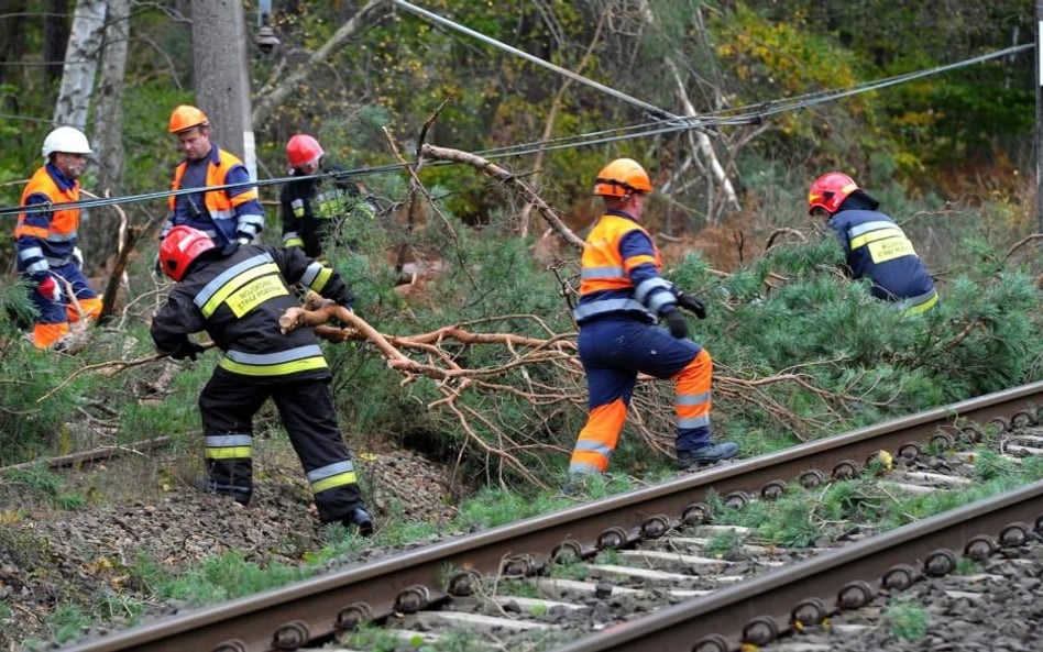 Energa sprząta po „Grzegorzu”