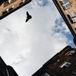 Tragiczny finał sporu. Zastrzelił sąsiadkę. Poszło o szambo