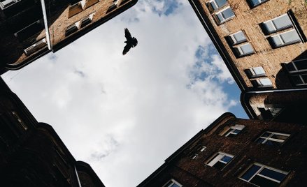 Tragiczny finał sporu. Zastrzelił sąsiadkę. Poszło o szambo