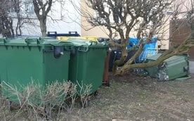 Ponadliczbowe pojemniki na śmieci stoją często na trawnikach