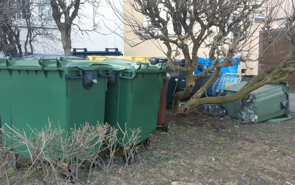 Ponadliczbowe pojemniki na śmieci stoją często na trawnikach
