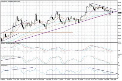 Wykres dzienny USDSEK