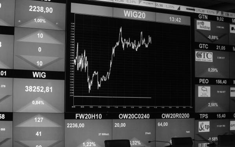 Około godziny 13:50 indeks WIG20 spadał o 0,44%