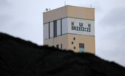Tauron chce kupić Brzeszcze