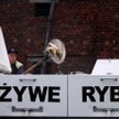 Pies nie może być na łańcuchu