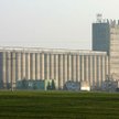 Wojna na silosy i elewatory