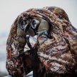 Bycie państwem frontowym to więc nie tylko wysokie wydatki na zbrojenia, ale systemowy wysiłek i zaa