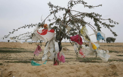 Egipt walczy z plastikiem w kurortach