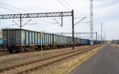 Polska oddaje Rosji zatrzymane wagony kolejowe. "To szokująca informacja"